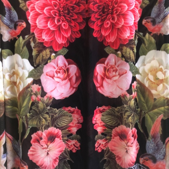 NWOT Nasty Gal Sheer London Body-con Dress - Picture 5 of 16